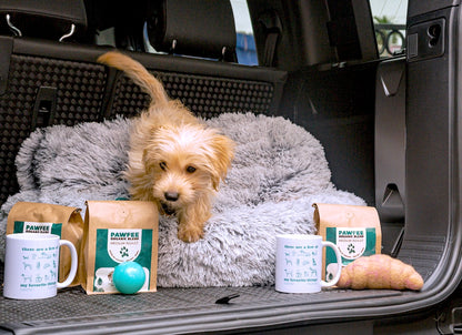 “A Few of My Favorite Things” Gift Bundle